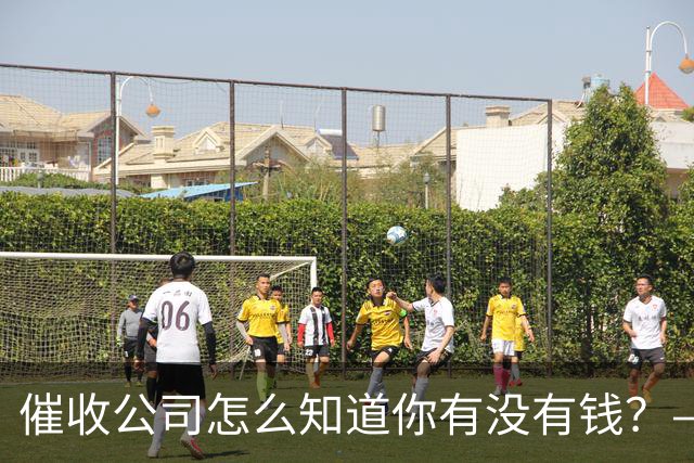 催收公司怎么知道你有没有钱？——你被“画像”了，自己却不知道